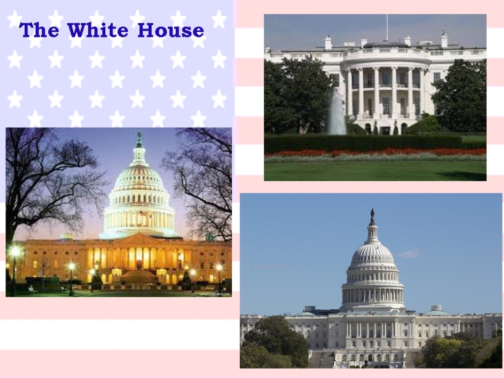 The White House